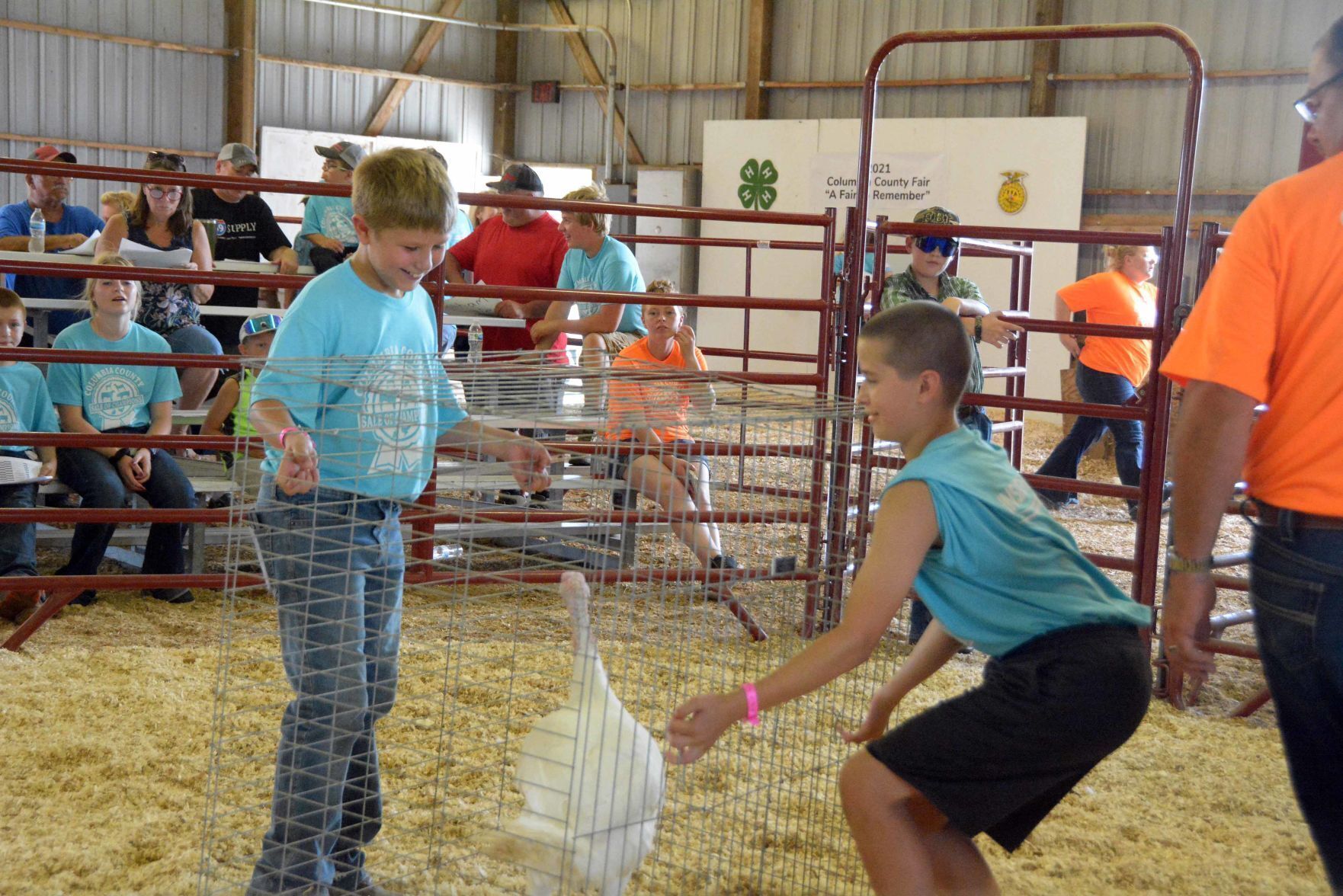 Saturday at the Columbia County Fair